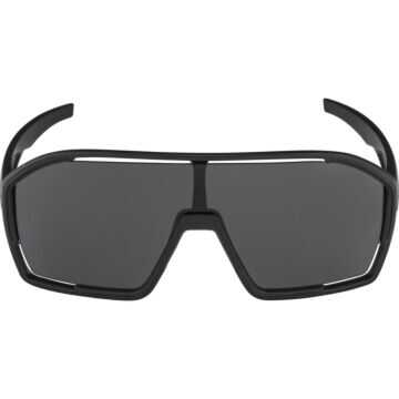 Okulary Alpina Bonfire/ all black matt