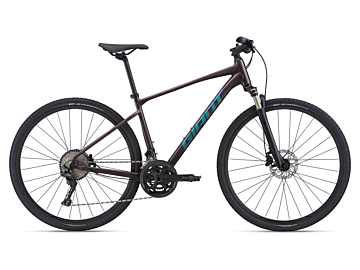 Rower crossowy Giant Roam 0 Disc 2021