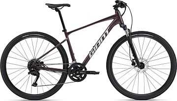Rower crossowy Giant Roam Disc 2 2024