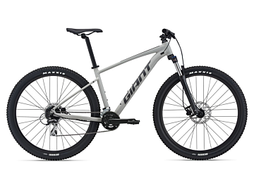 Rower górski Giant Talon 29 2 2021
