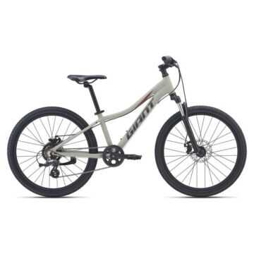 Rower młodzieżowy Giant XTC Jr Disc 24 2021