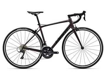 Rower szosowy Giant Contend 1 2022