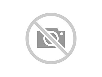 Zaprawka do lakierów Electra Touch-up Paint - Gloss Bronze