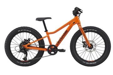 Rower dziecięcy Cannondale Trail Plus 20 2023