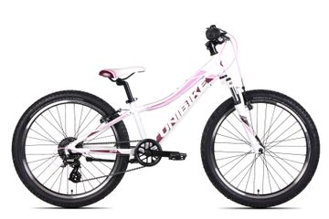 Rower młodzieżowy Unibike Roxi 2021