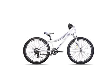 Rower młodzieżowy Unibike Roxi 2024