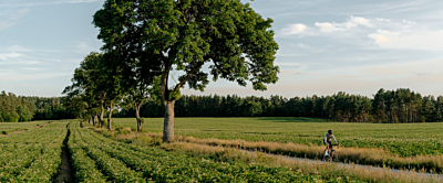 Czy warto kupić rower elektryczny? Podpowiadamy!