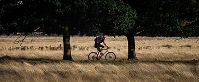 Jazda na rowerze. Czy to sport dla każdego?