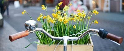 Przygotowanie roweru do sezonu – o tym pamiętaj! 11 porad