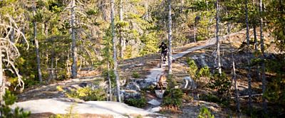 MTB do 7000 zł – ranking najlepszych modeli