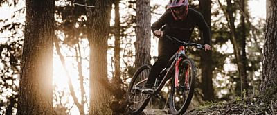 Jaki MTB do lasu wybrać? 