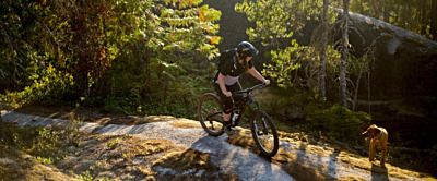 Przygotuj Swojego Dwukołowca – Obowiązkowe Wyposażenie Roweru