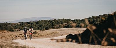 Rodzaje bagażników rowerowych – omówienie. Jaki wybrać?