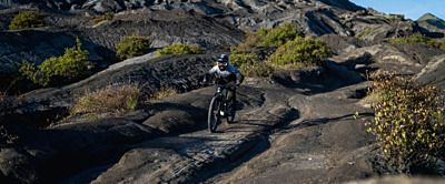 Trek Marlin 6 i Trek Marlin 8 – który rower jest najlepszy dla Ciebie?