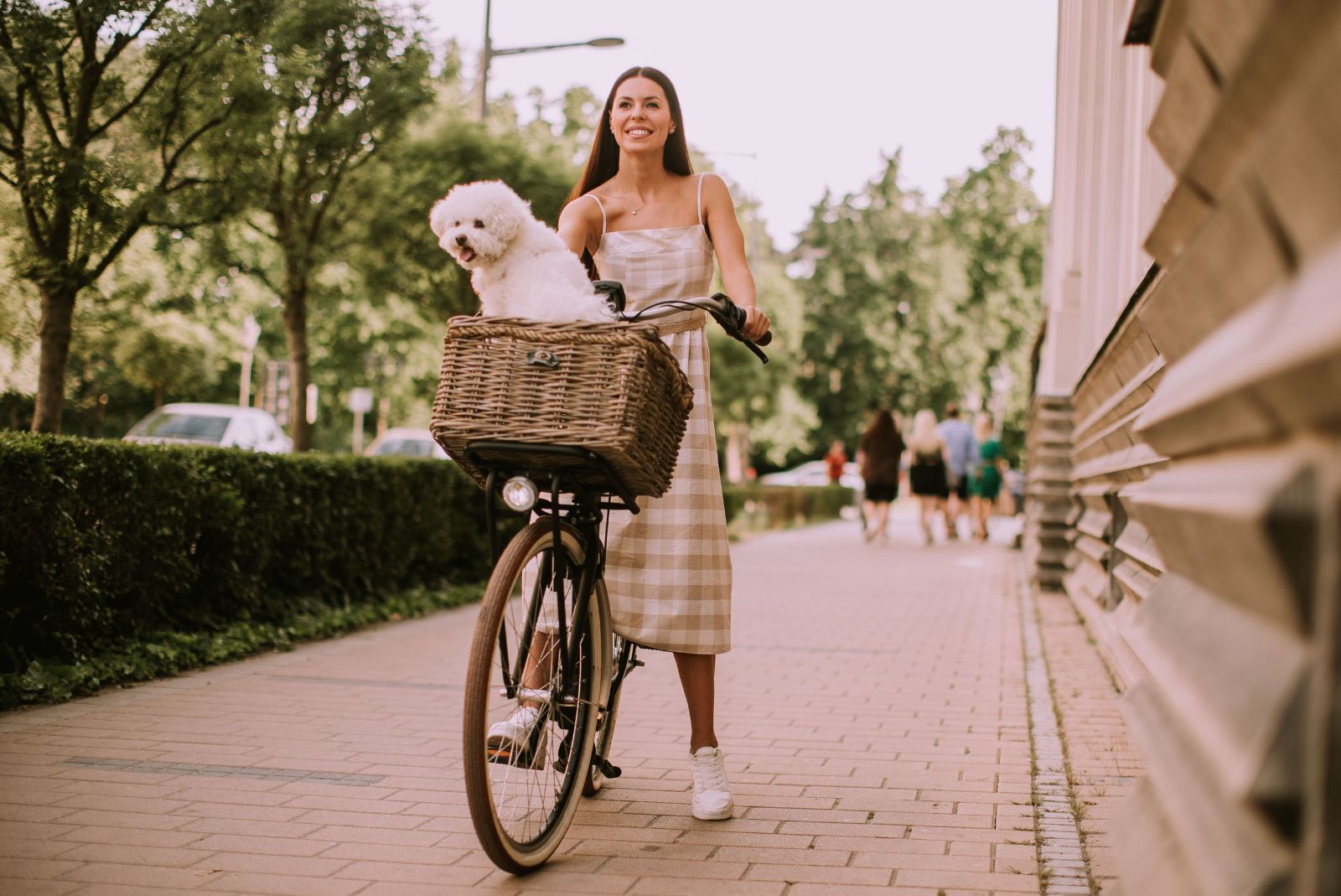 czym przewozic psa na rowerze