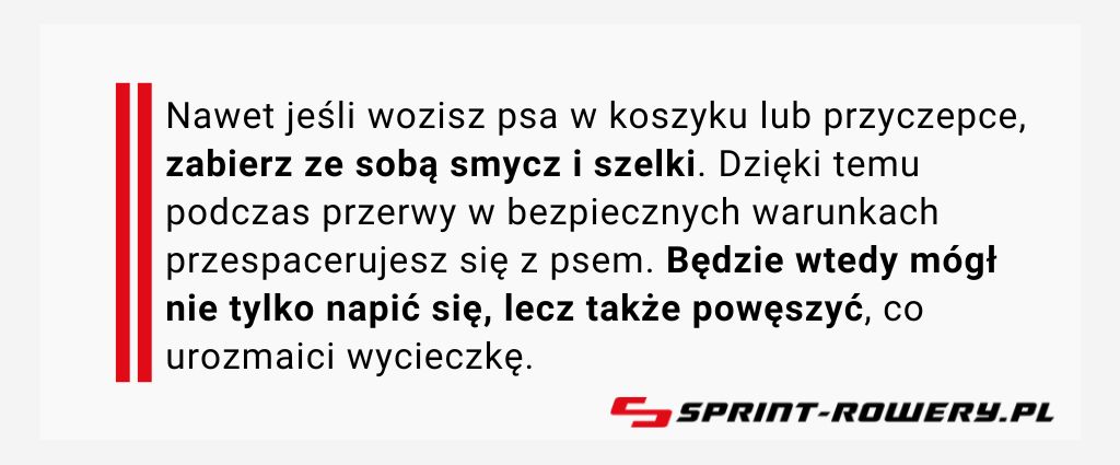 jak-wozic-psa-na-rowerze