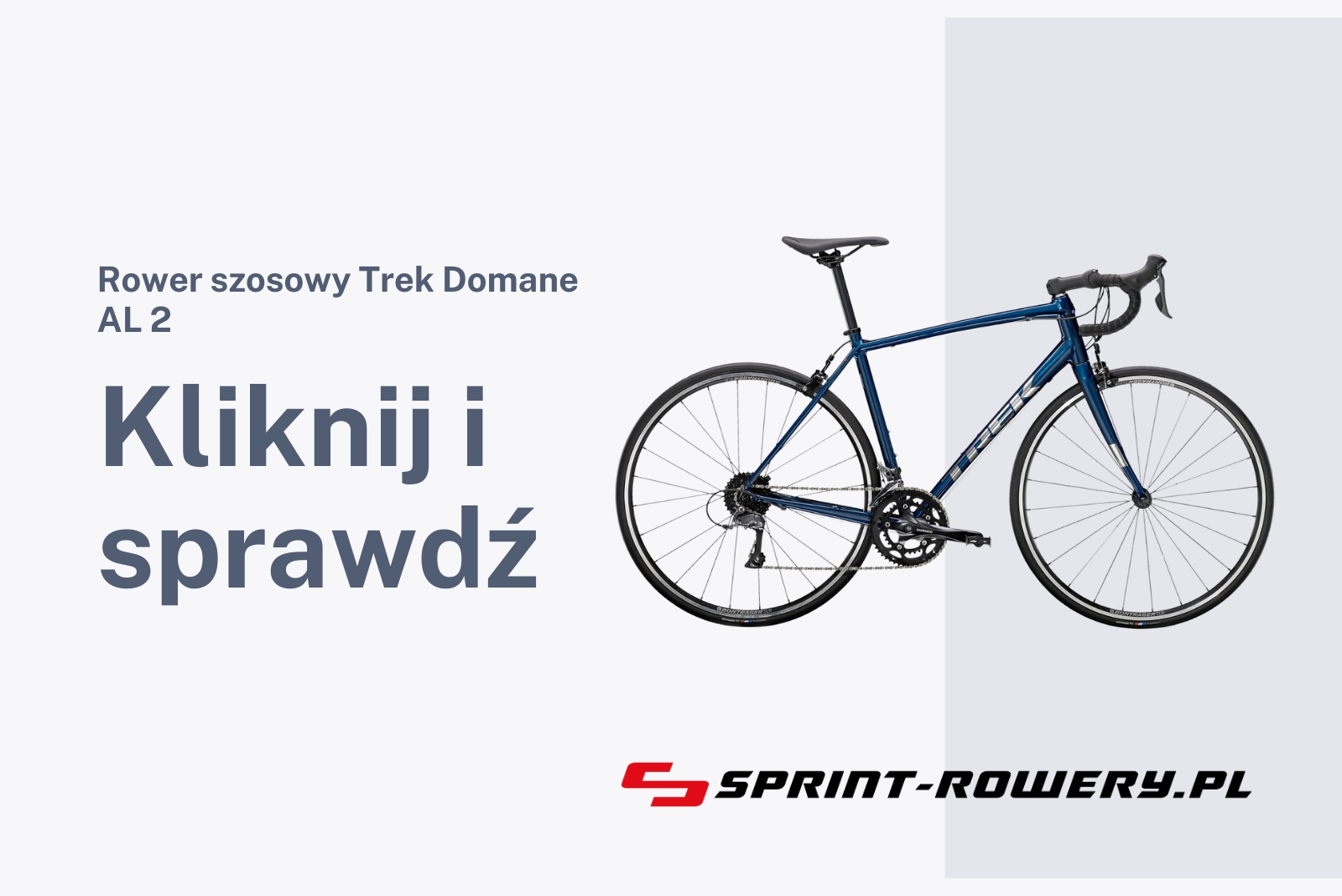 Rower szosowy Trek Domane AL 2 2023
