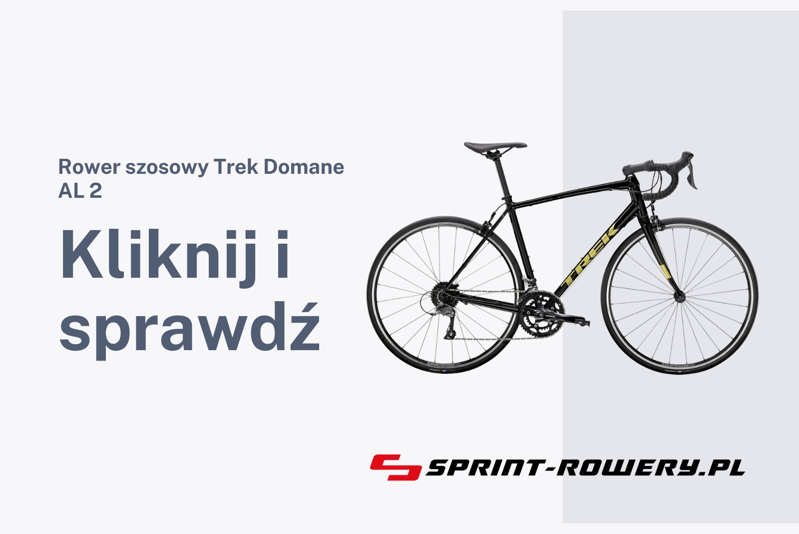 Rower szosowy Trek Domane AL 2 2023