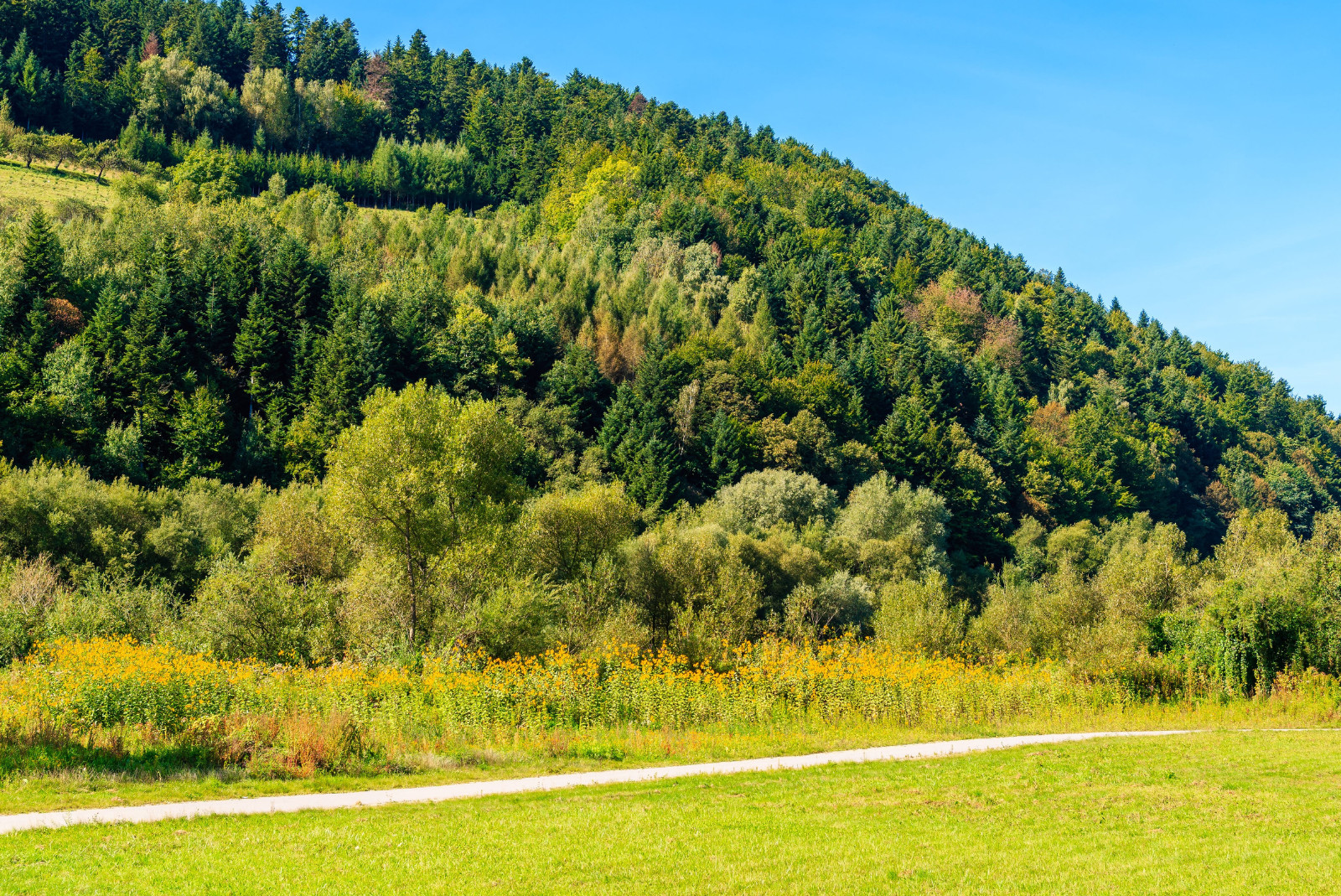 Trasa rowerowa Velo Dunajec