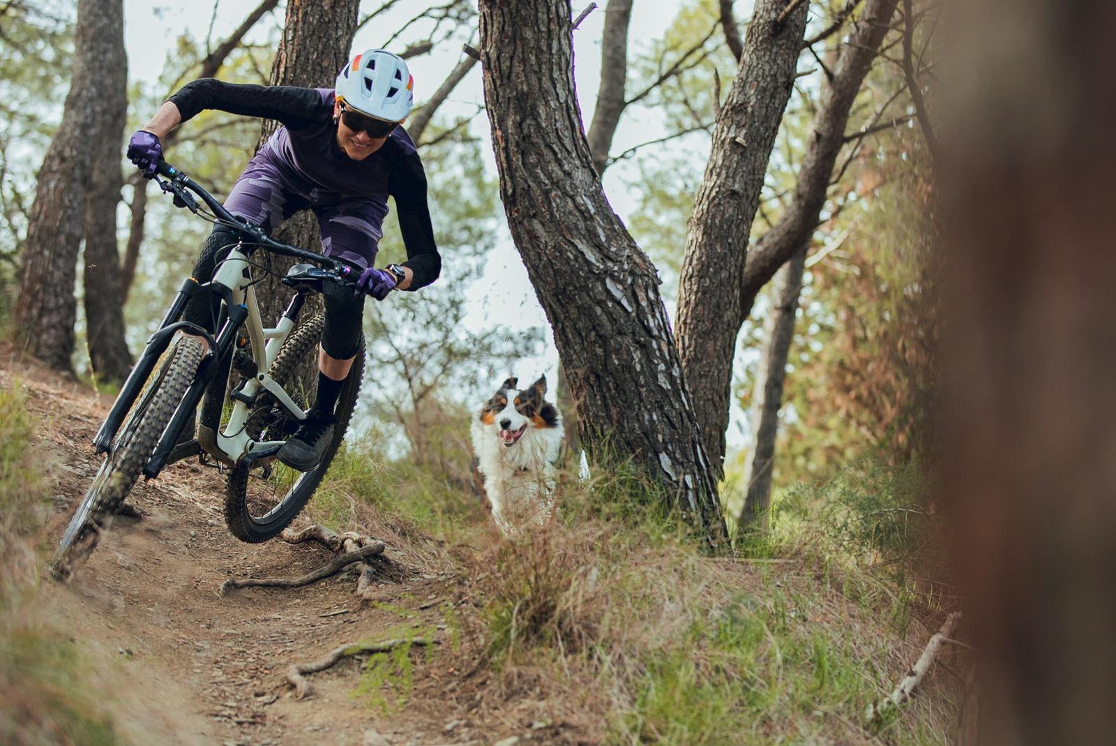 Unibike vs Kross