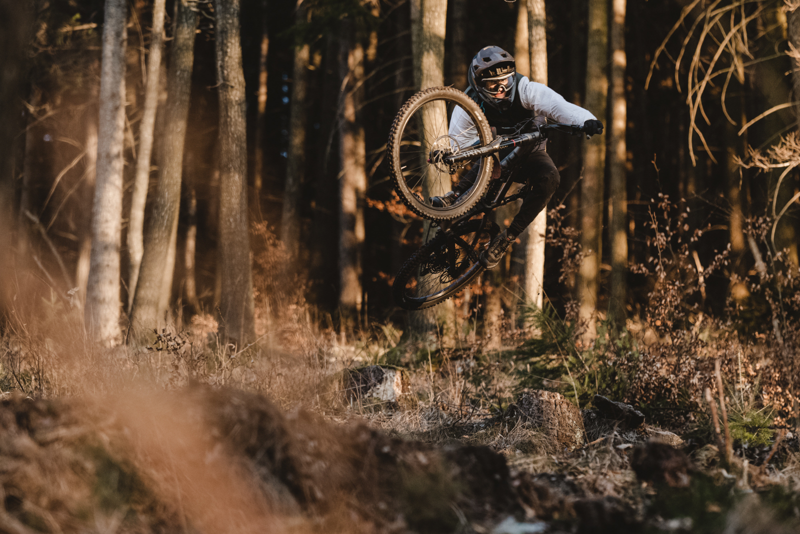 hardtail-czy-full2