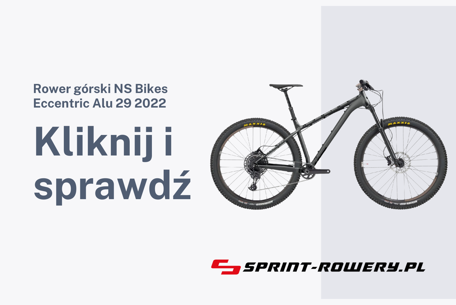 Rower górski NS Bikes Eccentric Alu 29 2022