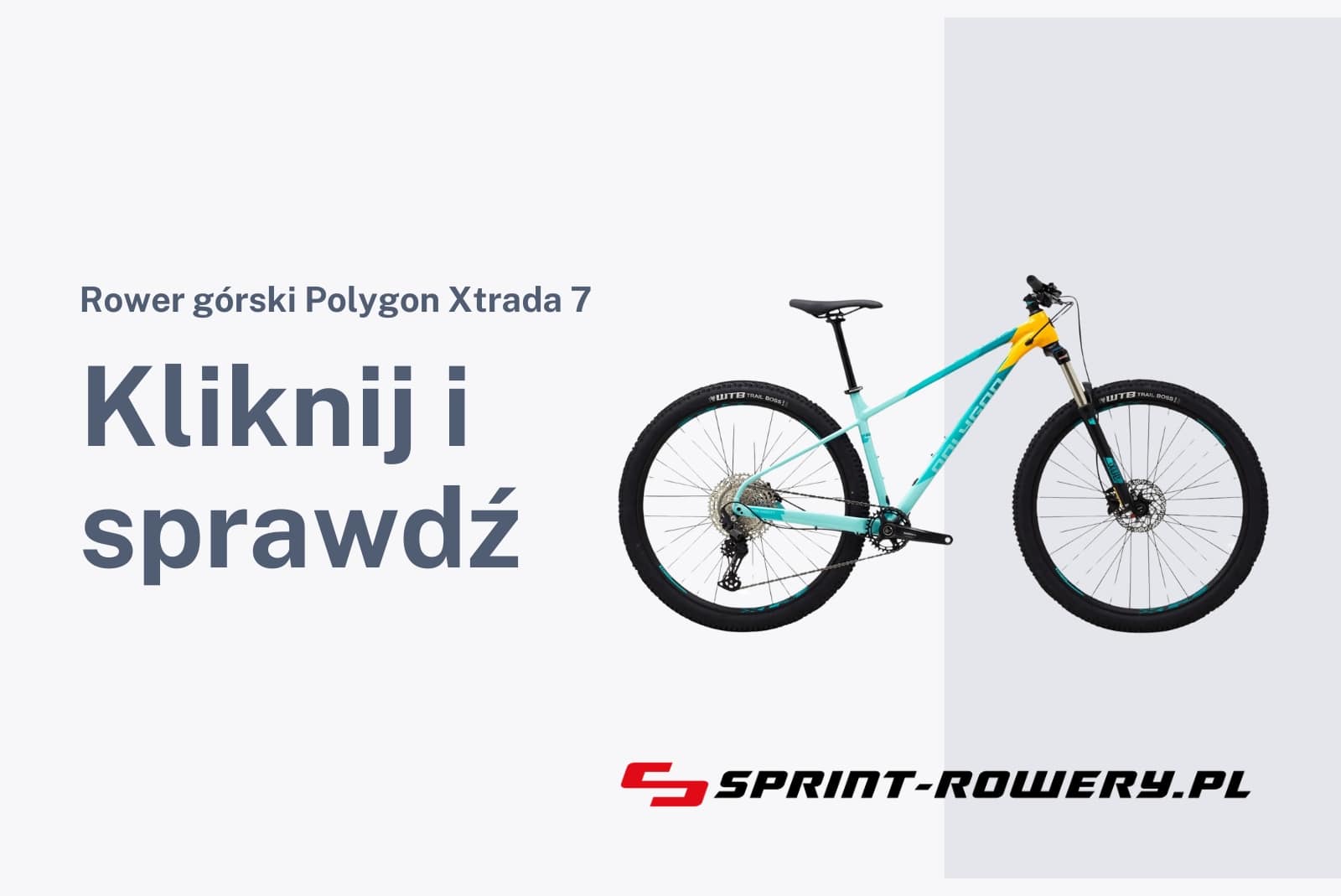 Rower górski Polygon Xtrada 7