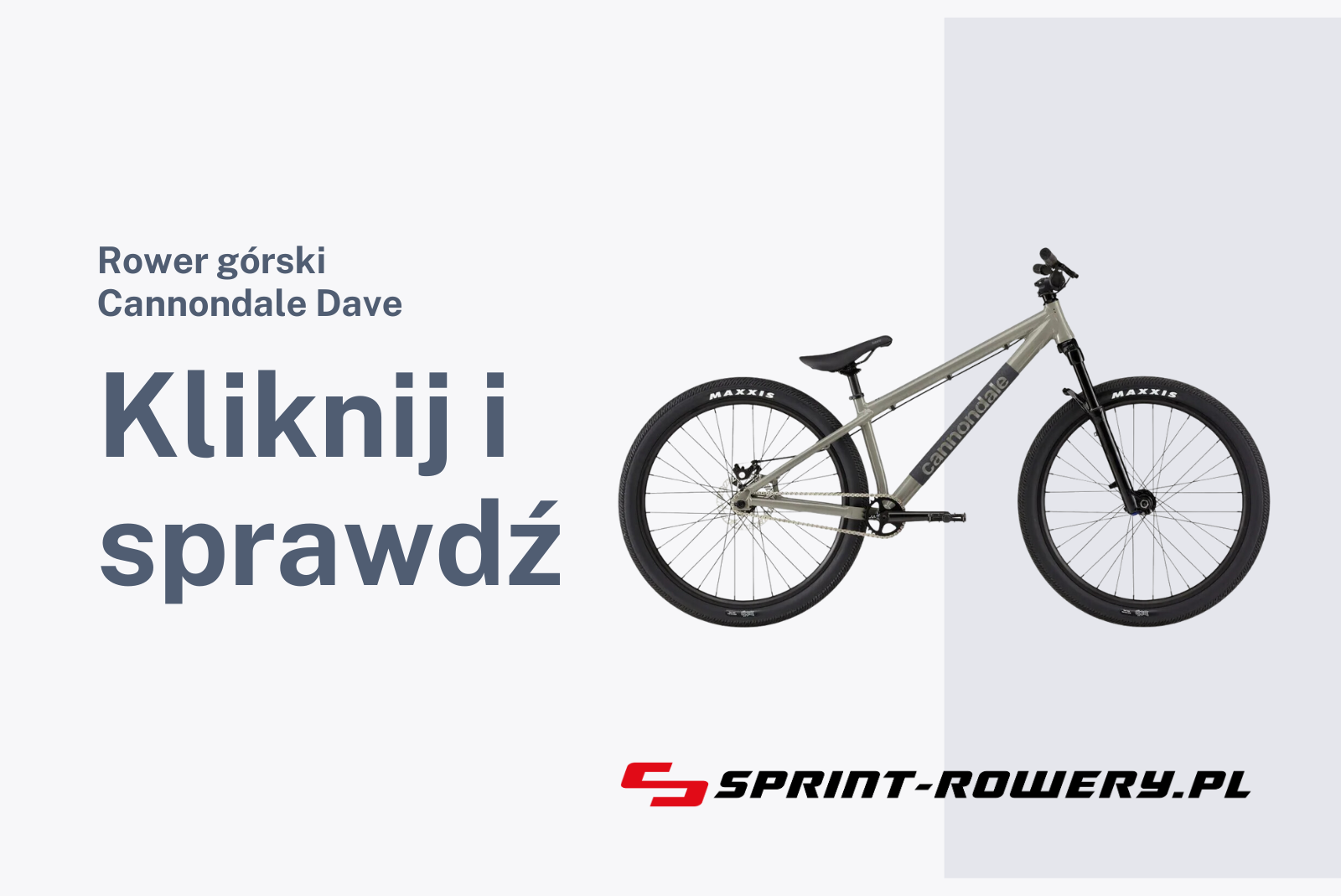 Rower górski Cannondale Dave 2023