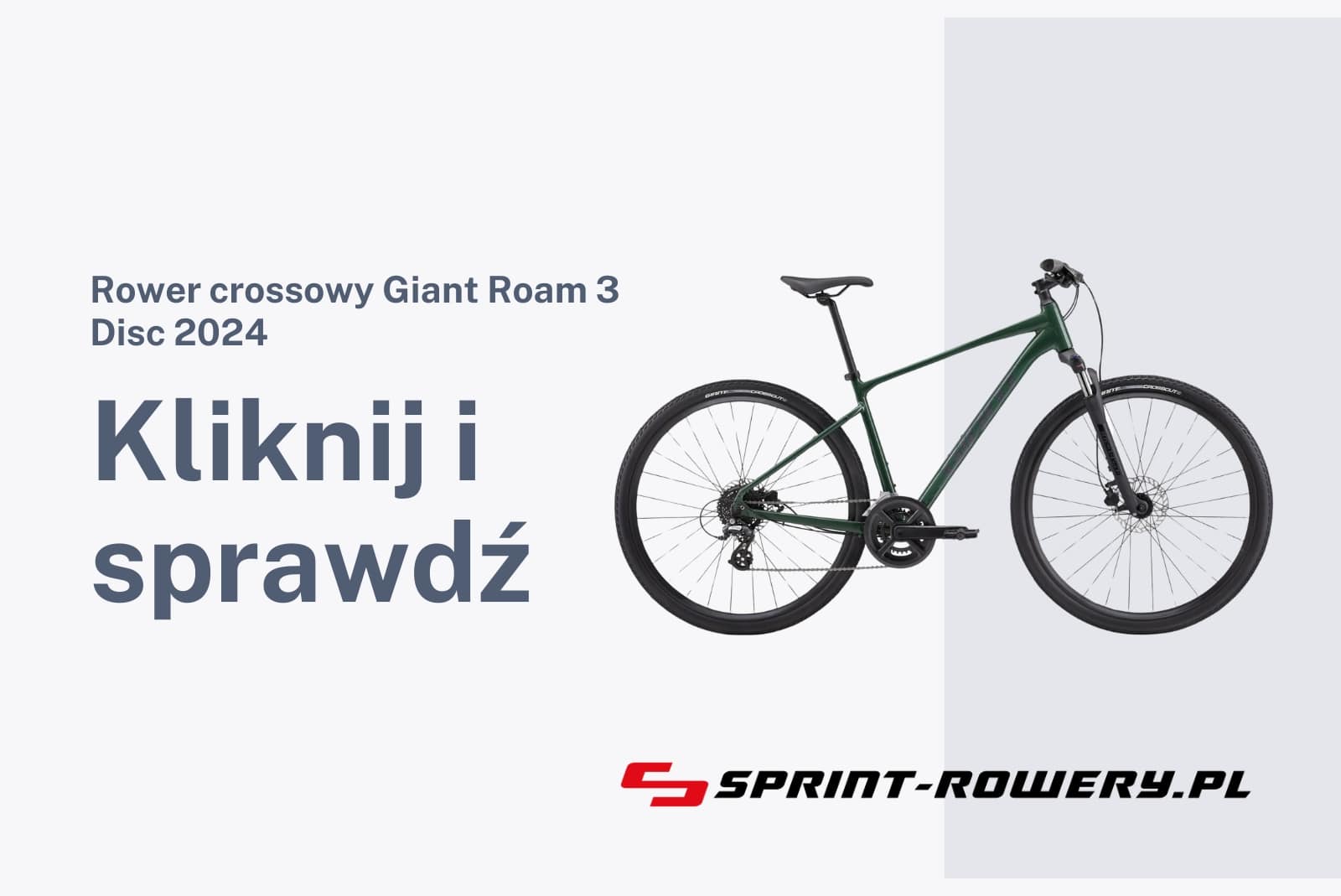 Rower crossowy Giant Roam 3 Disc 2024
