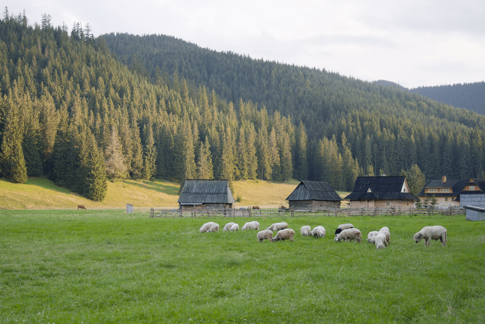 trasy-rowerowe-zakopane4