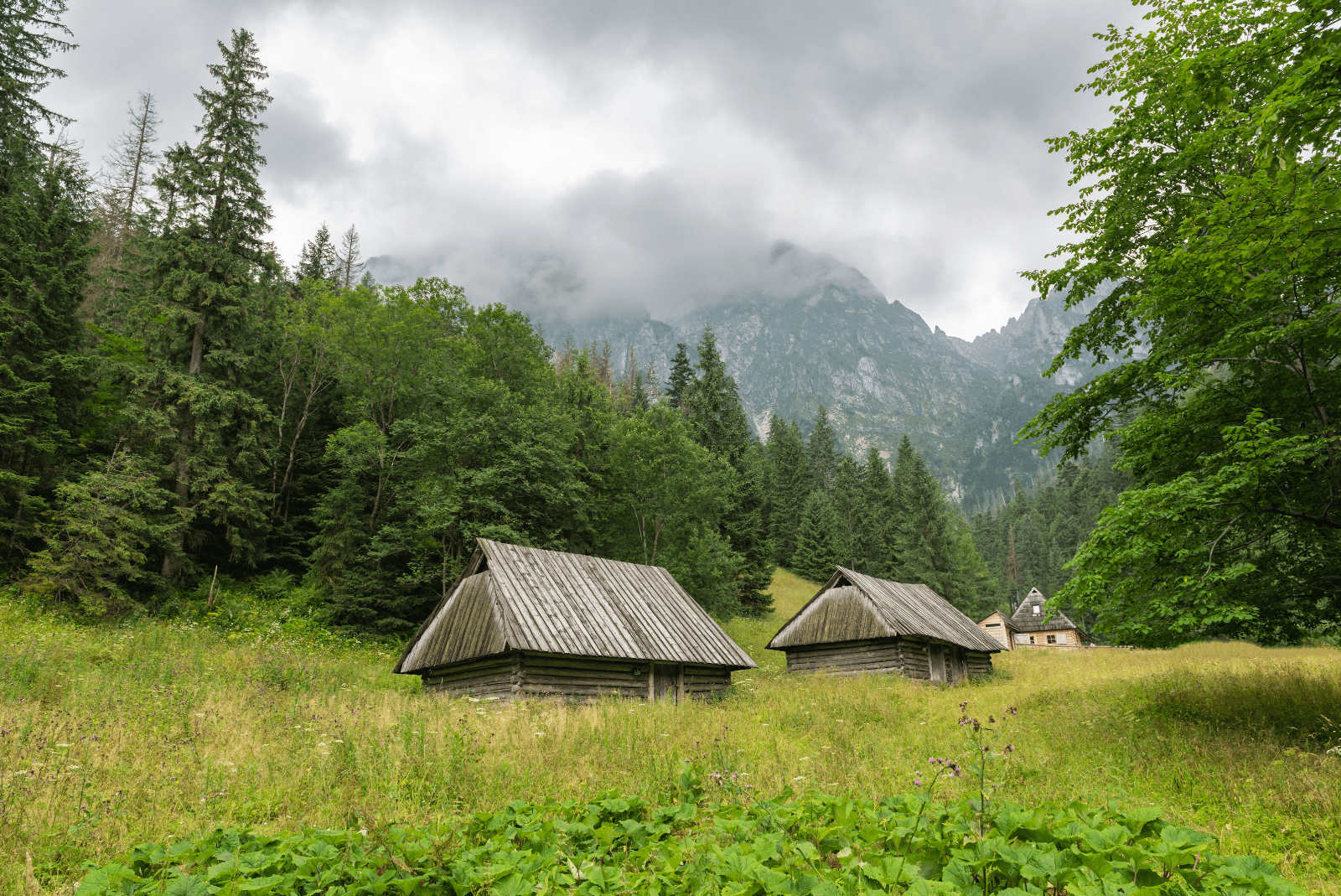 trasy-rowerowe-zakopane7