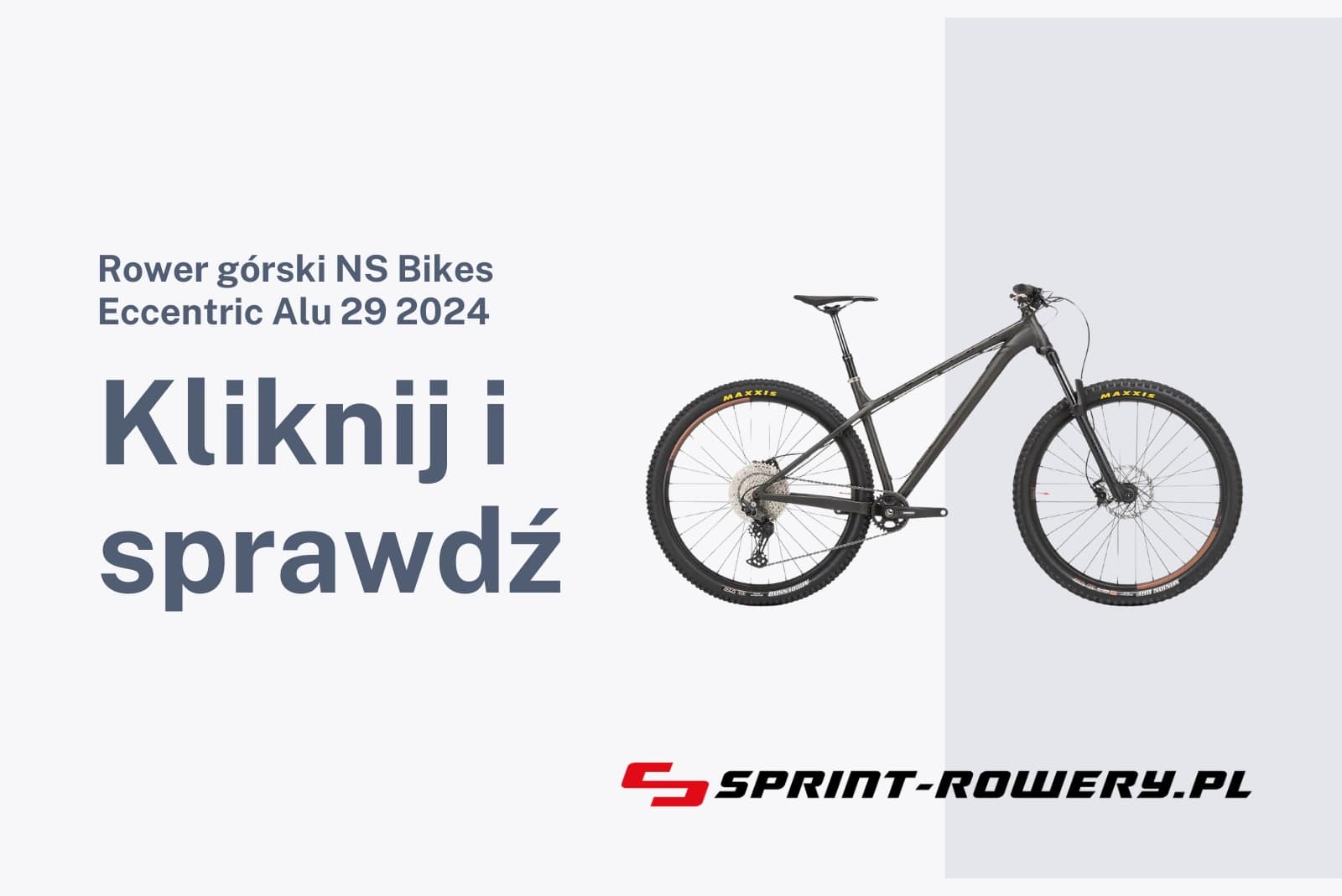 Rower górski NS Bikes Eccentric Alu 29 2024