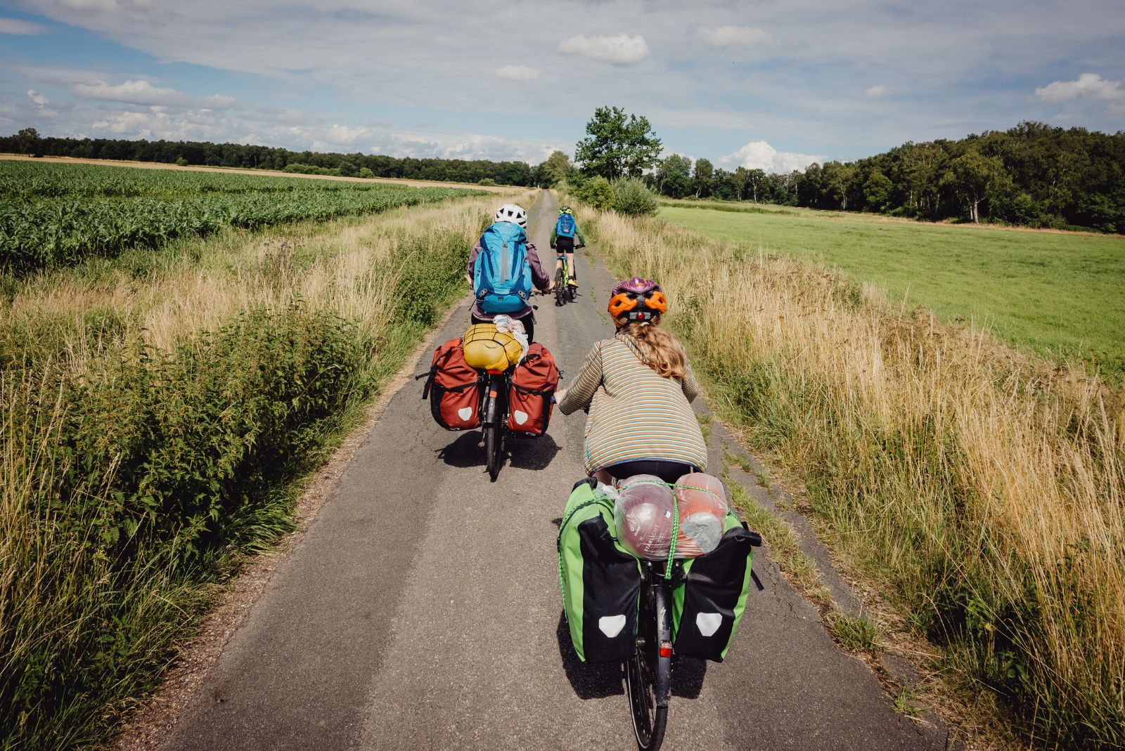Dobry rower trekkingowy do 2000