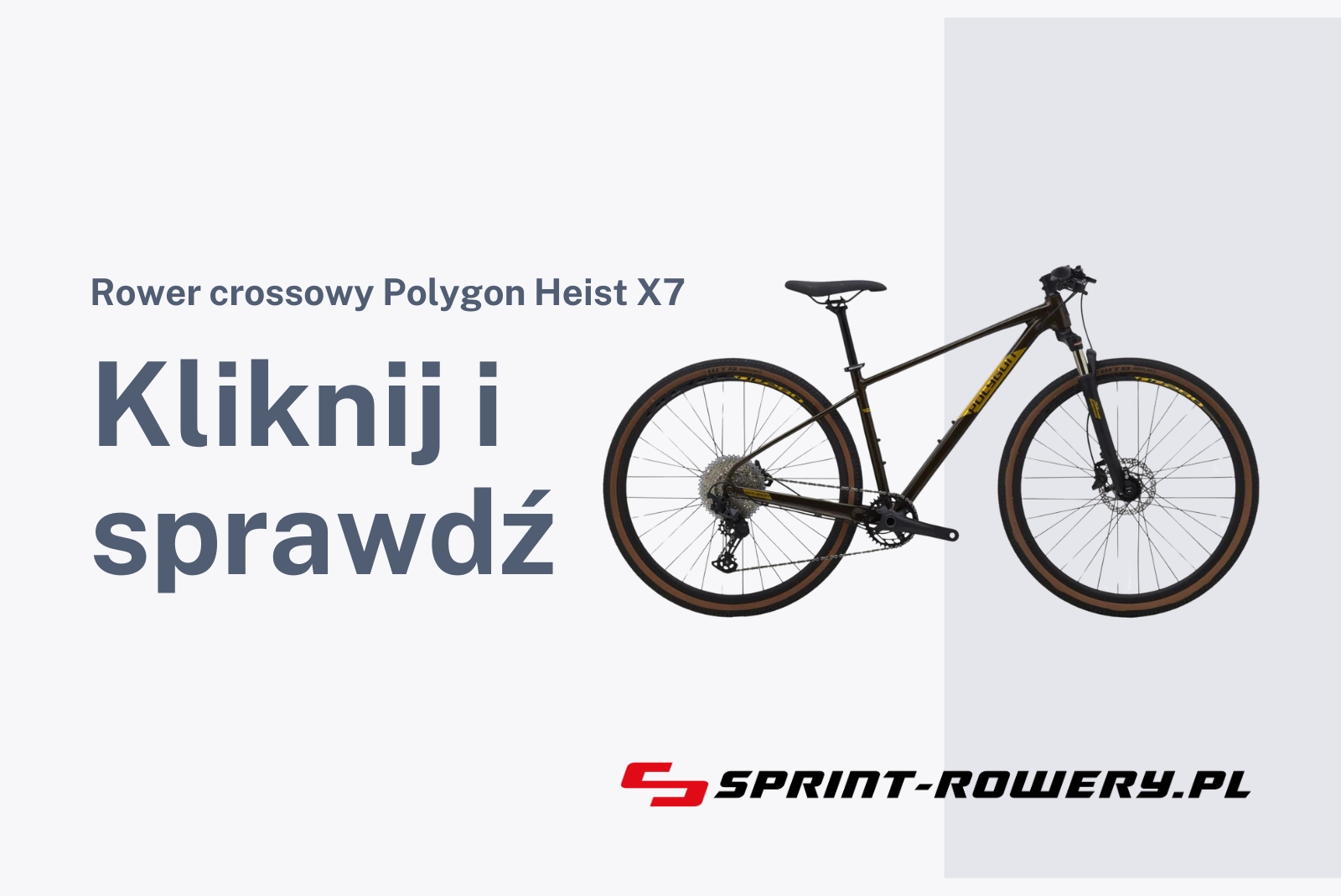 jaki-rower-do-miasta-i-lasu