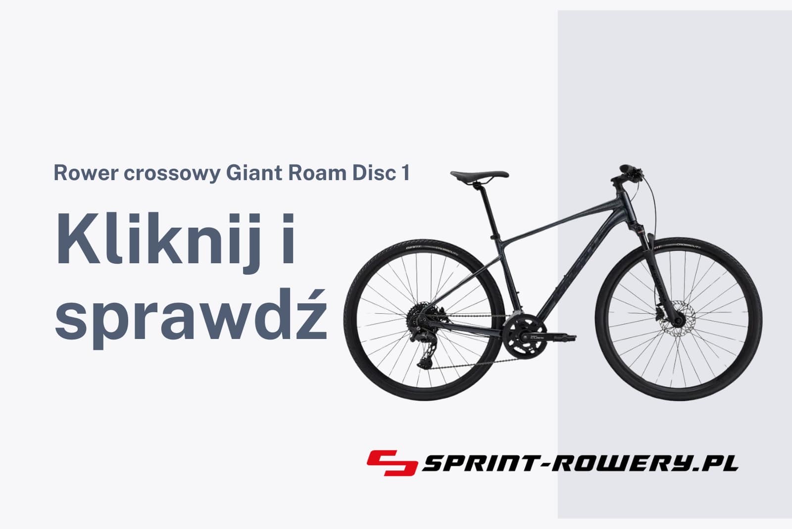 rower-crossowy-giant-roam-1