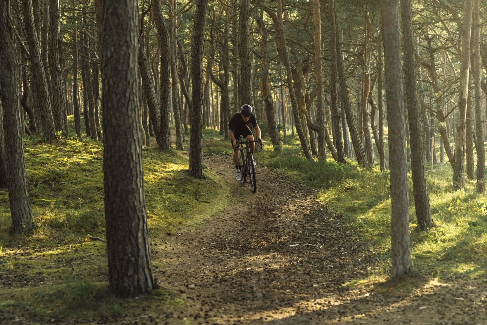 roztocze trasy rowerowe mapa